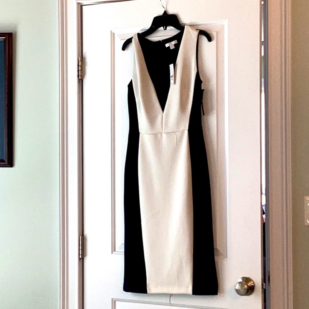 New York and company black and white dress